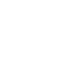 Wordpress icon
